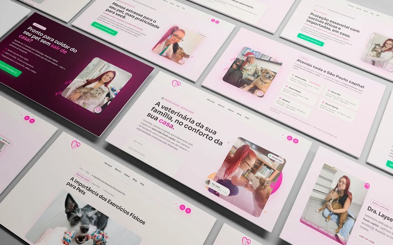 VetLay — De um site institucional a uma plataforma própria